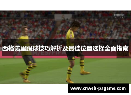 西格诺里踢球技巧解析及最佳位置选择全面指南 西格诺里踢球技巧解析及最佳位置选择全面指南