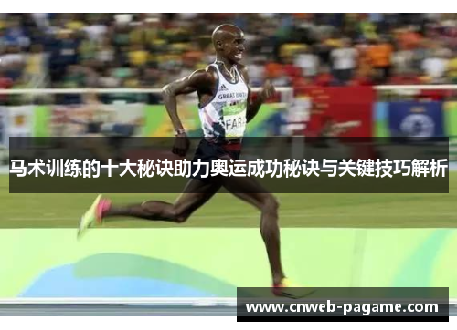 马术训练的十大秘诀助力奥运成功秘诀与关键技巧解析