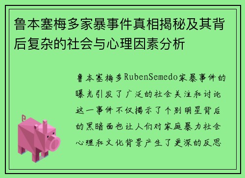 鲁本塞梅多家暴事件真相揭秘及其背后复杂的社会与心理因素分析